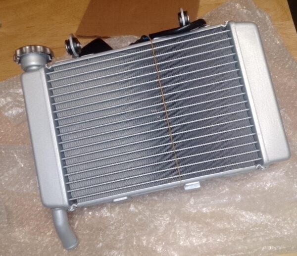 WhatsApp Image 2025-08-27 at 00.31.04 Radiador c/Electro Benelli TNT 25